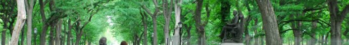 New York City Walking Tours