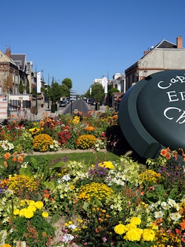 Guided tour group exploring Reims Champagne region vineyards from Paris.