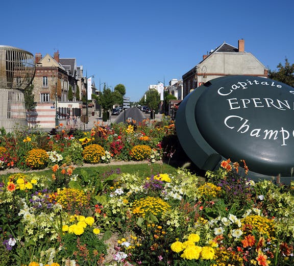 Guided tour group exploring Reims Champagne region vineyards from Paris.
