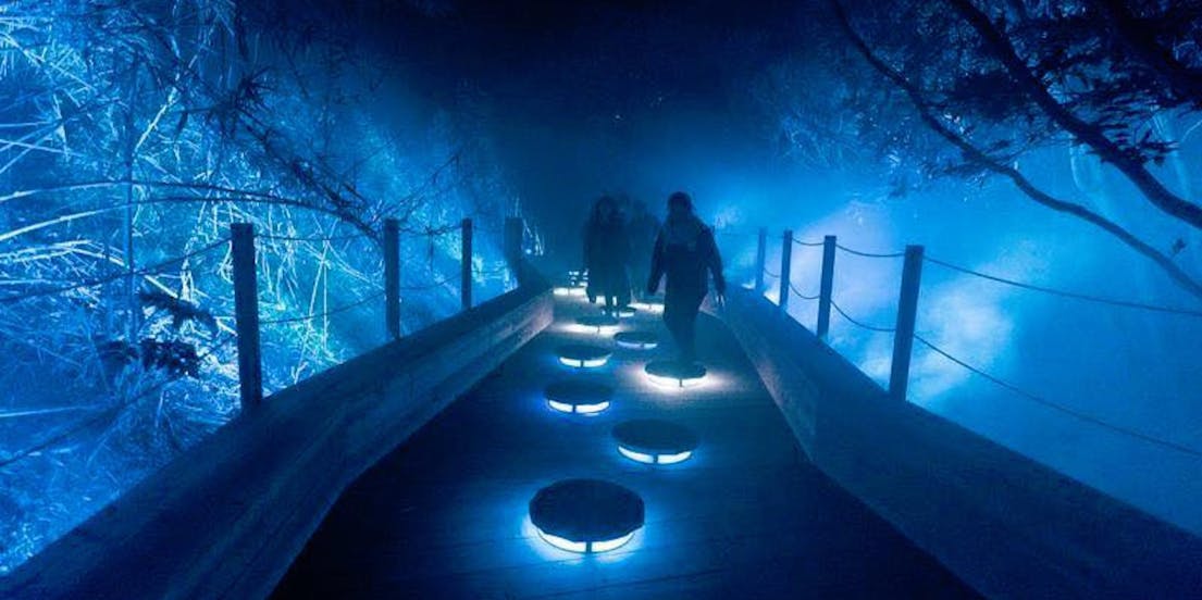 Ingressos para Rainforest Lumina