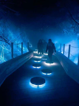 Rainforest Lumina light installation in lush tropical setting, Singapore.