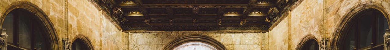 Photoshoots and Tours