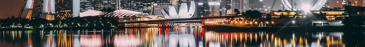 Singapore 101