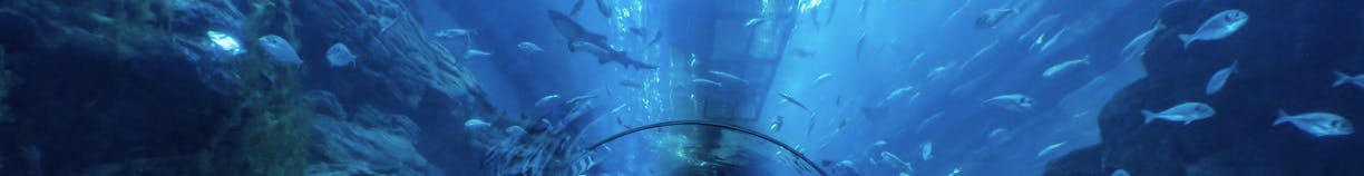 Dubai Aquarium