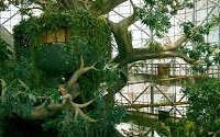 The Green Planet Dubai