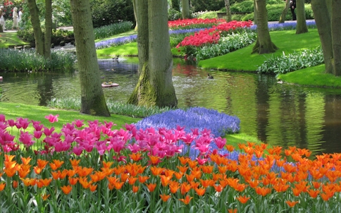 Ingressos para os Jardins Keukenhof