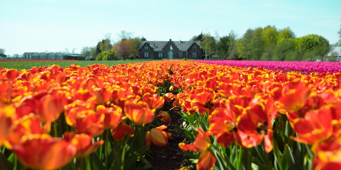 Excursiones de Ámsterdam a Zaanse Schans