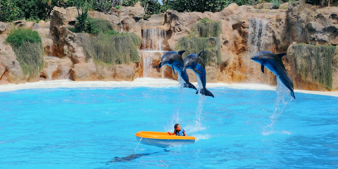 Loro Parque