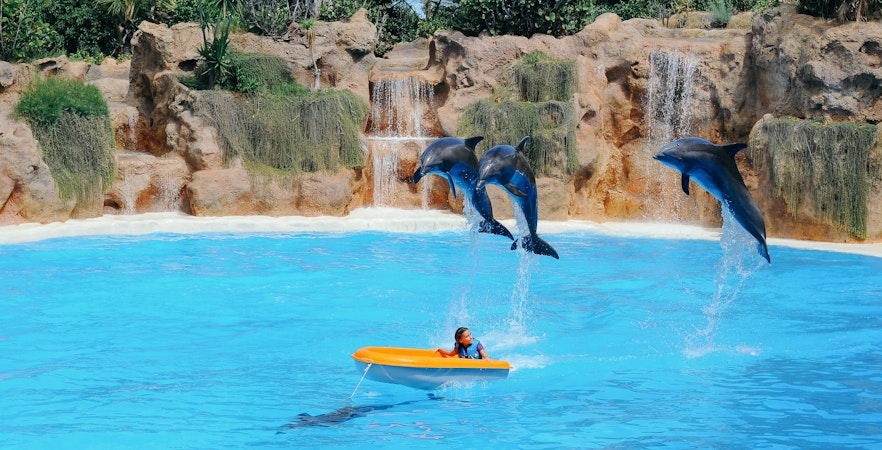 Loro Parque