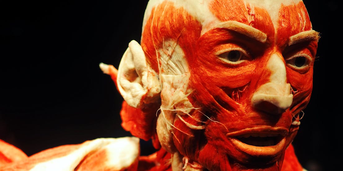 Billets pour Body Worlds Amsterdam