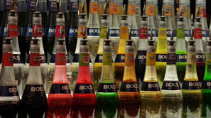 House of Bols cocktail experience in Amsterdam, showcasing interactive exhibits and tasting sessions.