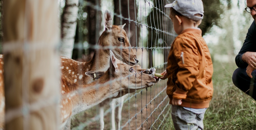 ARTIS Royal Zoo Bilety
