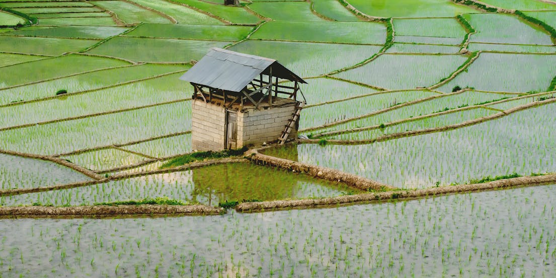 Countryside Explore