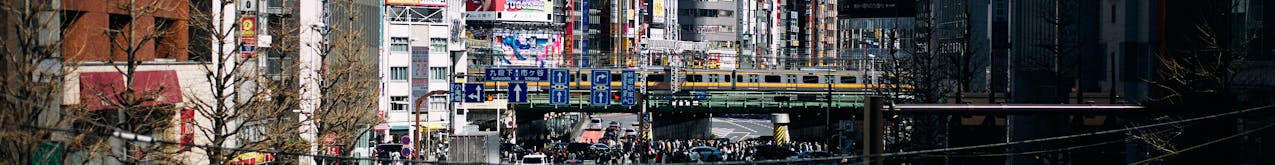 Bus Tours
