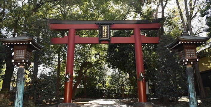 Nikko Werelderfgoed Tours