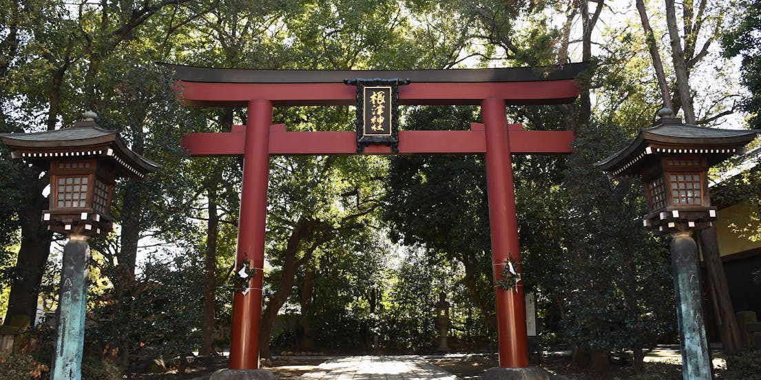 Nikko Werelderfgoed Tours