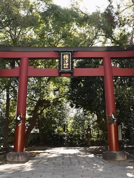 Nikko World Heritage site with historic temples and lush greenery in Tokyo, Japan.
