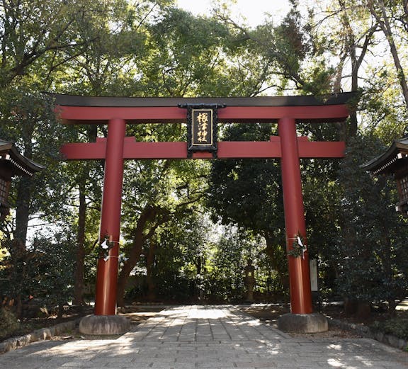 Nikko World Heritage site with historic temples and lush greenery in Tokyo, Japan.