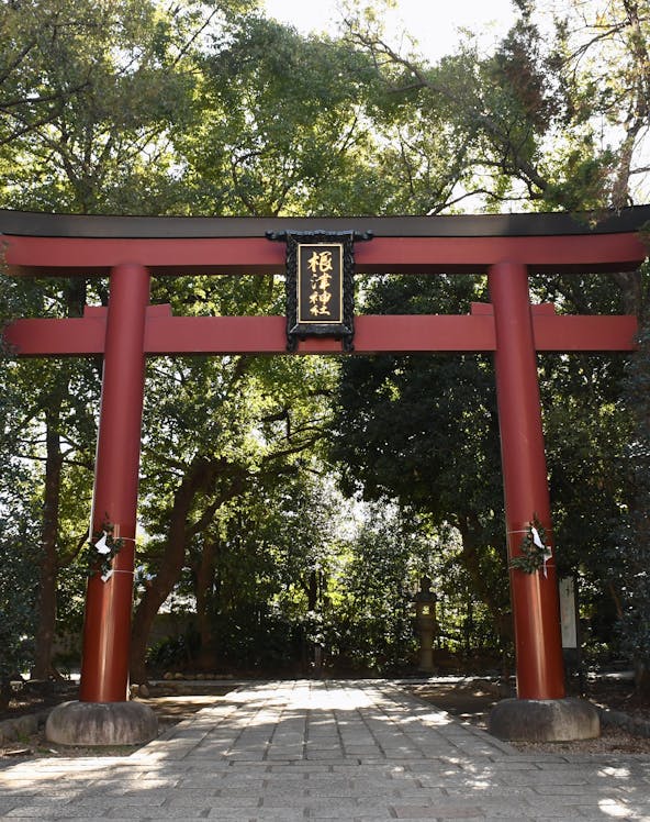 Nikko World Heritage site with historic temples and lush greenery in Tokyo, Japan.