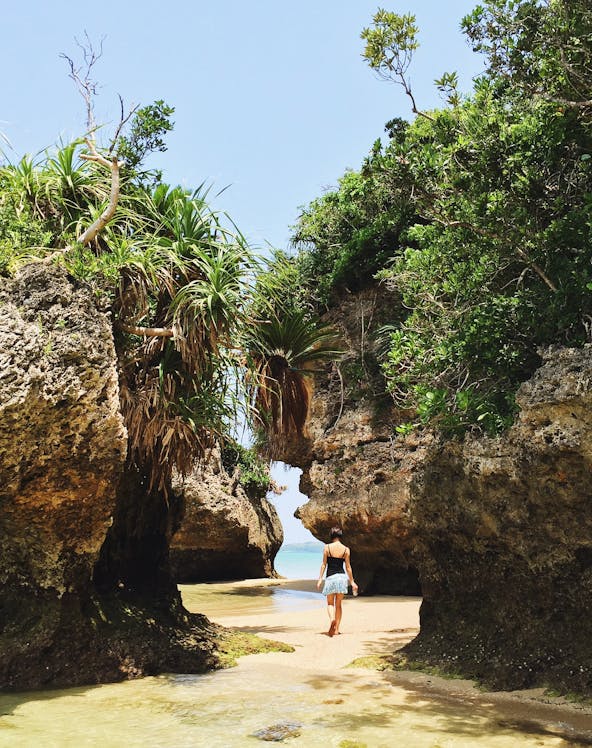 Shuri Castle in Okinawa, Japan, showcasing traditional Ryukyu architecture.