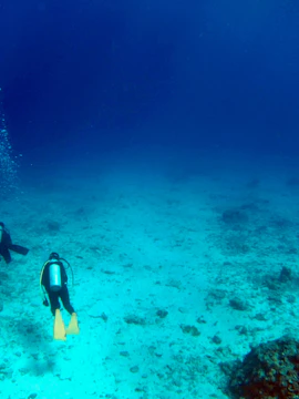 Okinawa snorkeling tour with vibrant coral reefs and diverse marine life.