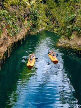 Xenotes tour in Cancun featuring a serene cenote surrounded by lush greenery.