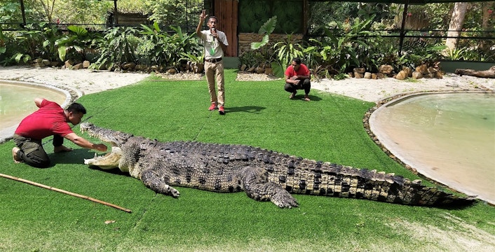 Crocodile Adventureland Langkawi