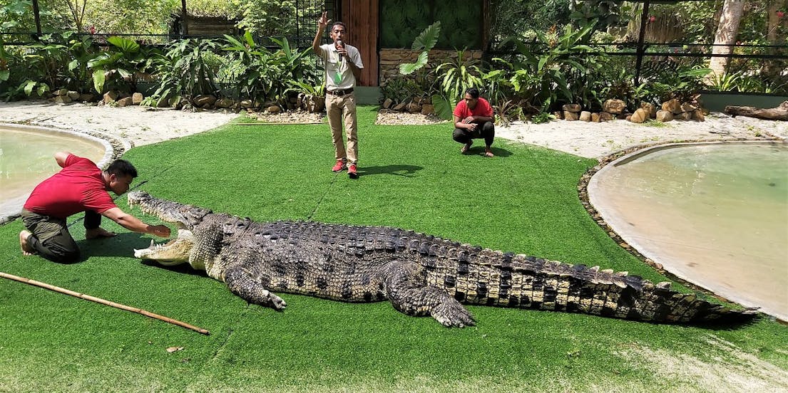 Il parco avventura dei coccodrilli a Langkawi