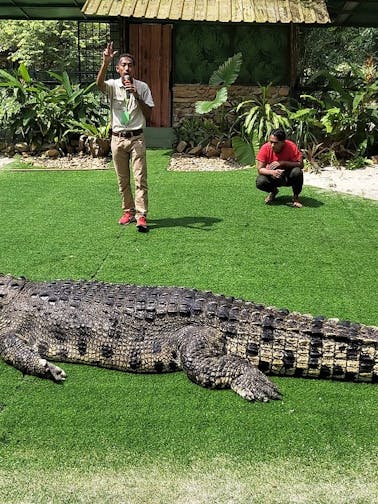 Il parco avventura dei coccodrilli a Langkawi