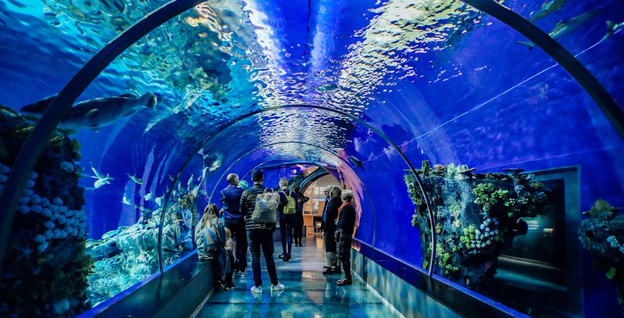 Acquario nazionale di Danimarca