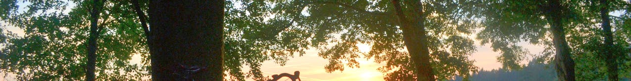 Day Trips & Excursions