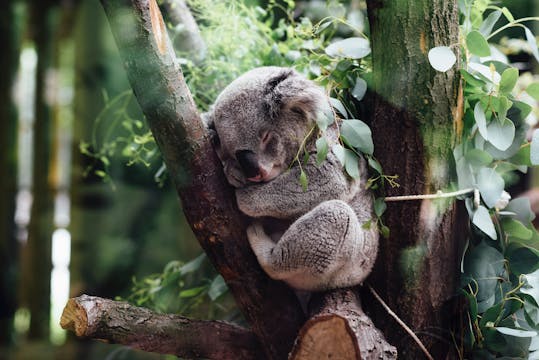 004: Nature & Wildlife - singapore