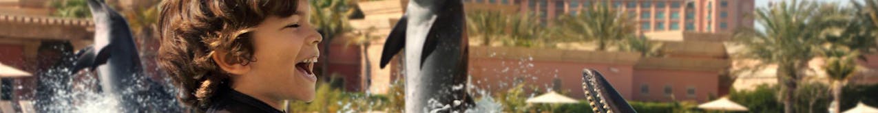 Dolphin Bay