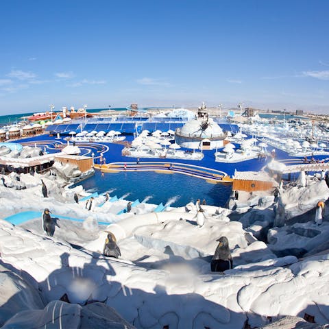 Iceland Waterpark