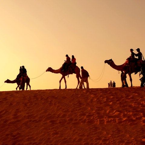 Camel Ride