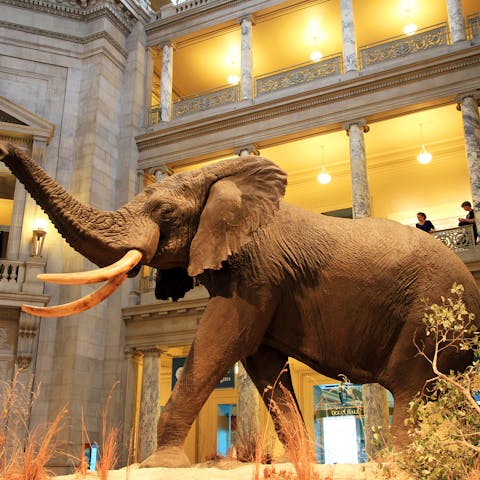 History & Science Museums