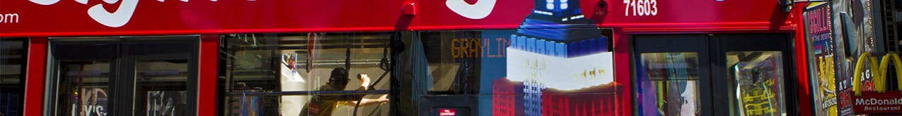 Hop-On Hop-Off Bus Tours