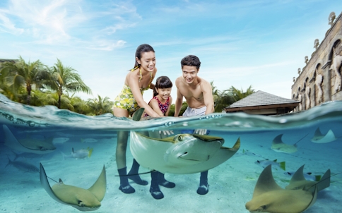 Adventure Cove Wasserpark