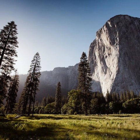 Trails of Yosemite