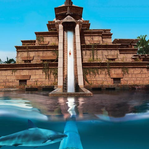 Water Parks