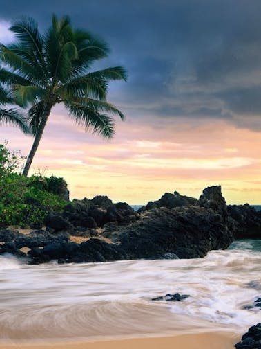 Hawaii Sightseeing & Outdoors Tickets