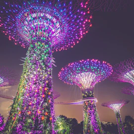 Things to do in Singapore