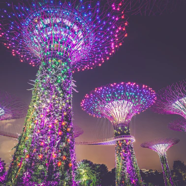 Saker att göra i Singapore
