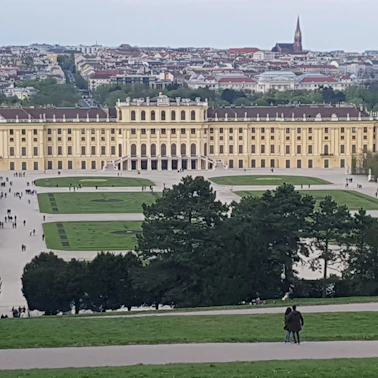 Lucruri de făcut în Viena