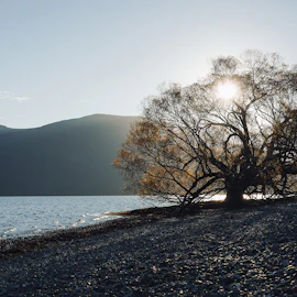Things to do in Te Anau