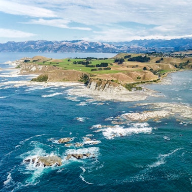 Que faire à Kaikoura