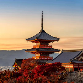 Things to do in Kyoto