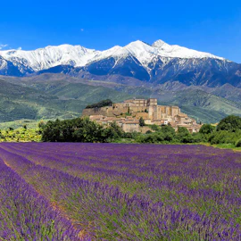Things to do in Provence