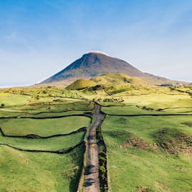 Pico