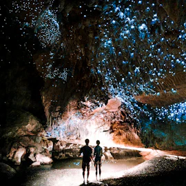 Things to do in Waitomo